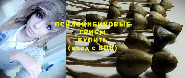 соль курить ск Алексеевка