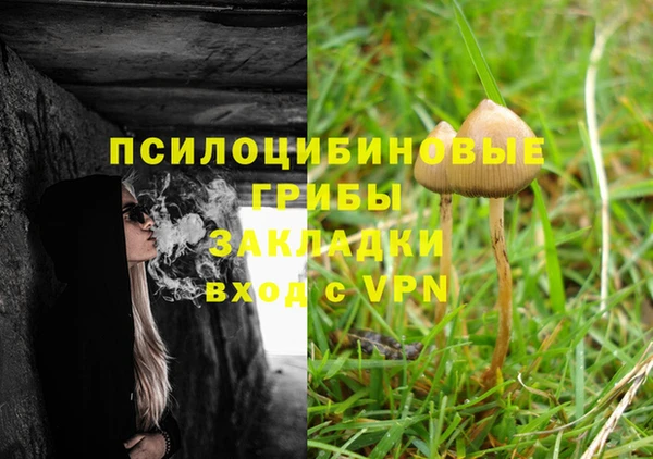 таблы Алзамай