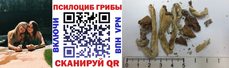 как найти   Владимир  Псилоцибиновые грибы прущие грибы 